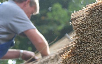 professional Pentreuchaf thatchers