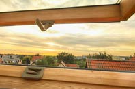 rated Pentreuchaf roof window companies